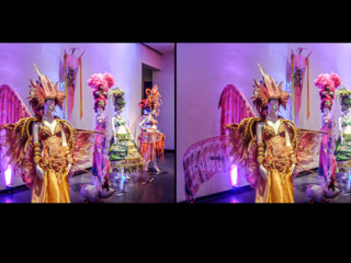 Stereo photography of the Wearable Art fashion show in 2019