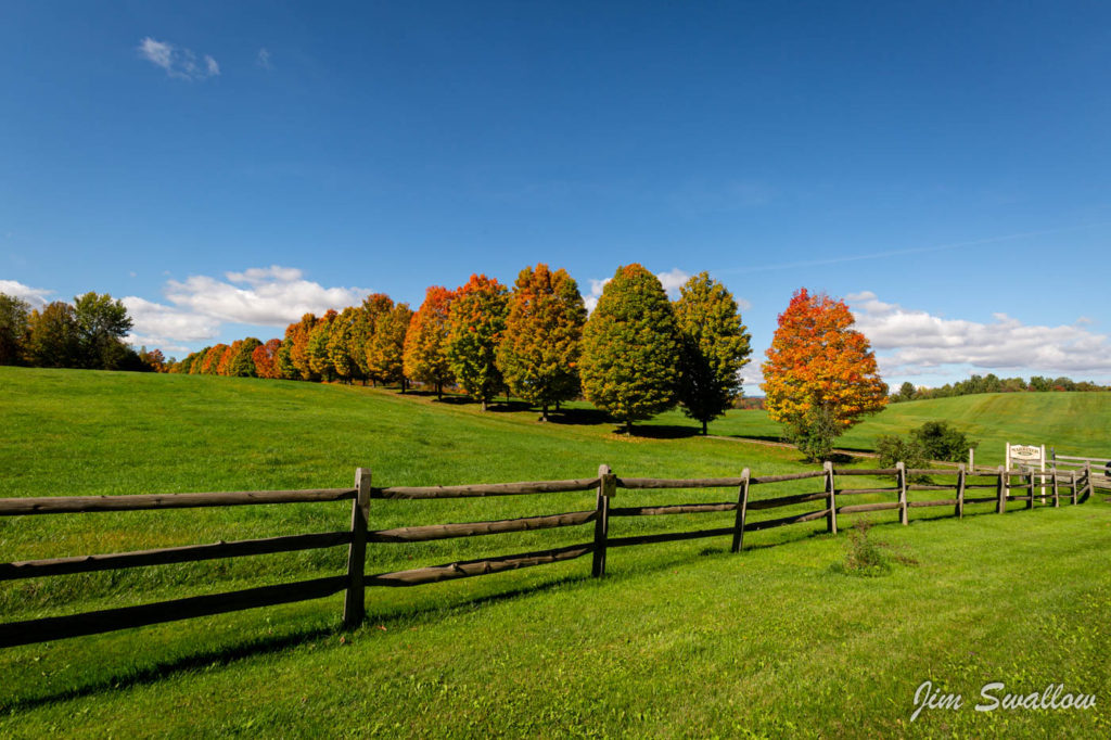 Vermont